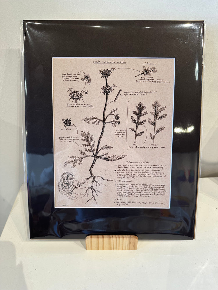 Botanical Prints