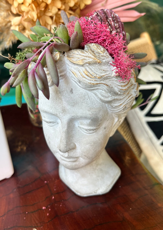 Bust Planter with living succulents