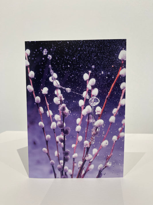 Purple Winter Flower Greeting Card