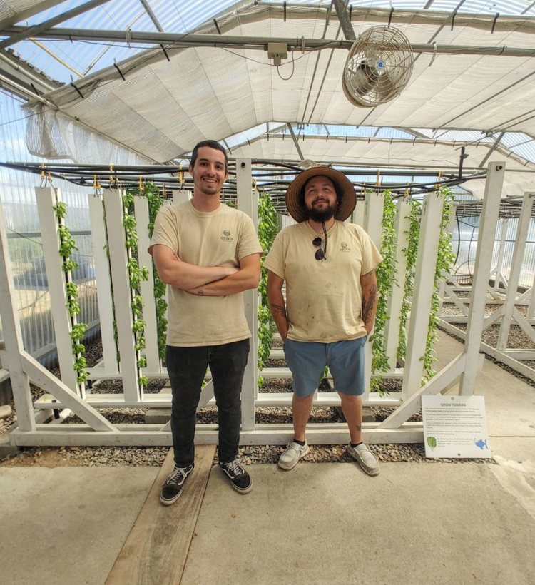 Weekly Service for Hydroponic Tower Garden