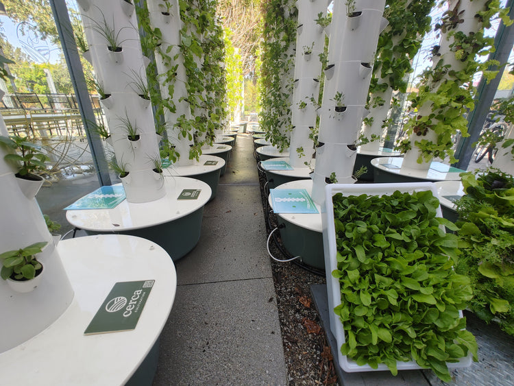 Weekly Service for Hydroponic Tower Garden