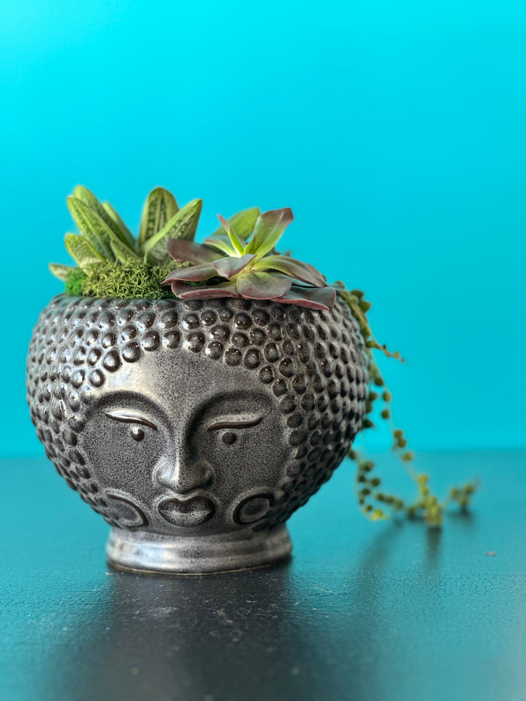 Buddha Pot Brown w/ 3 succulents
