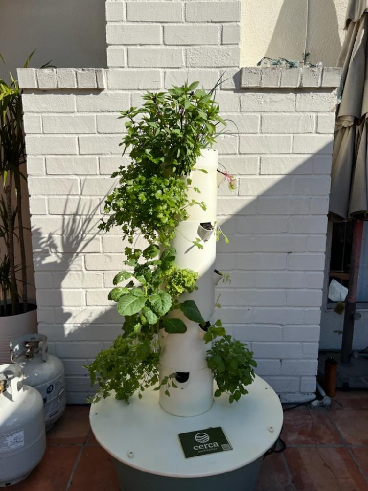 Weekly Service for Hydroponic Tower Garden