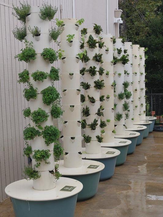 Weekly Service for Hydroponic Tower Garden